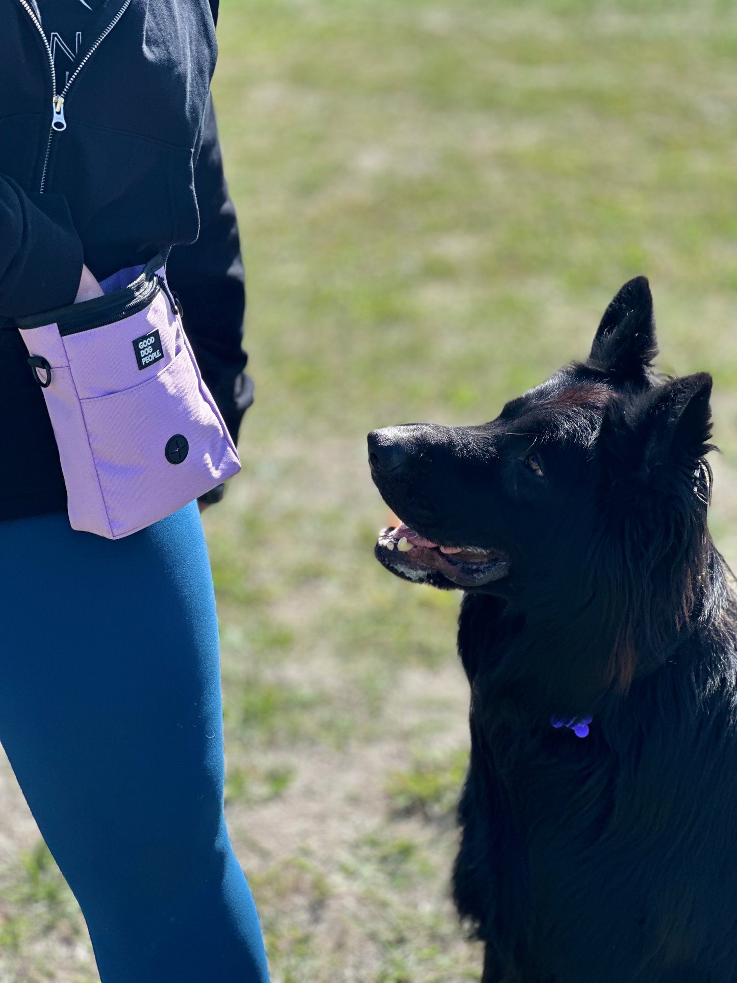 The Trainers Treat Pouch