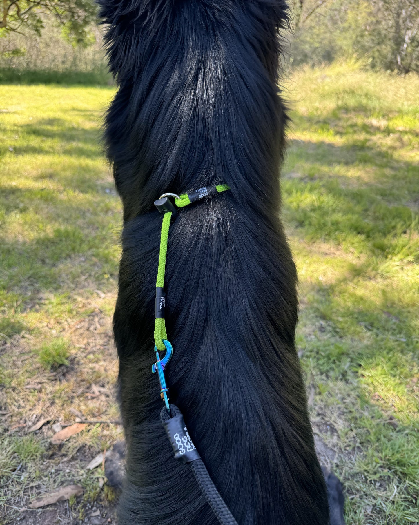 In-House Training Slip Collar