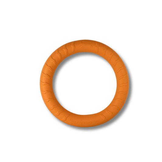 Ring Toy